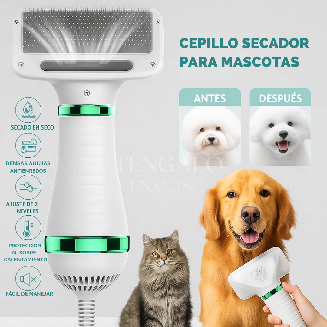Cepillo Secador para Mascotas 🐩 🪮 🐾