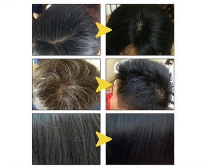 Black Hair Dye® - Shampoo Cubre Canas