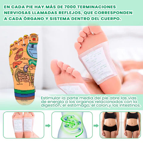 🔥 Parches Kinokis desintoxicantes , 100 x 1