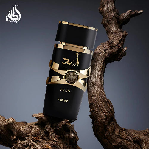 ASAD Lattafa 100ml ORIGINAL